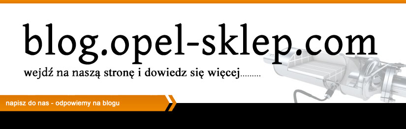 Przejdź na BLOG